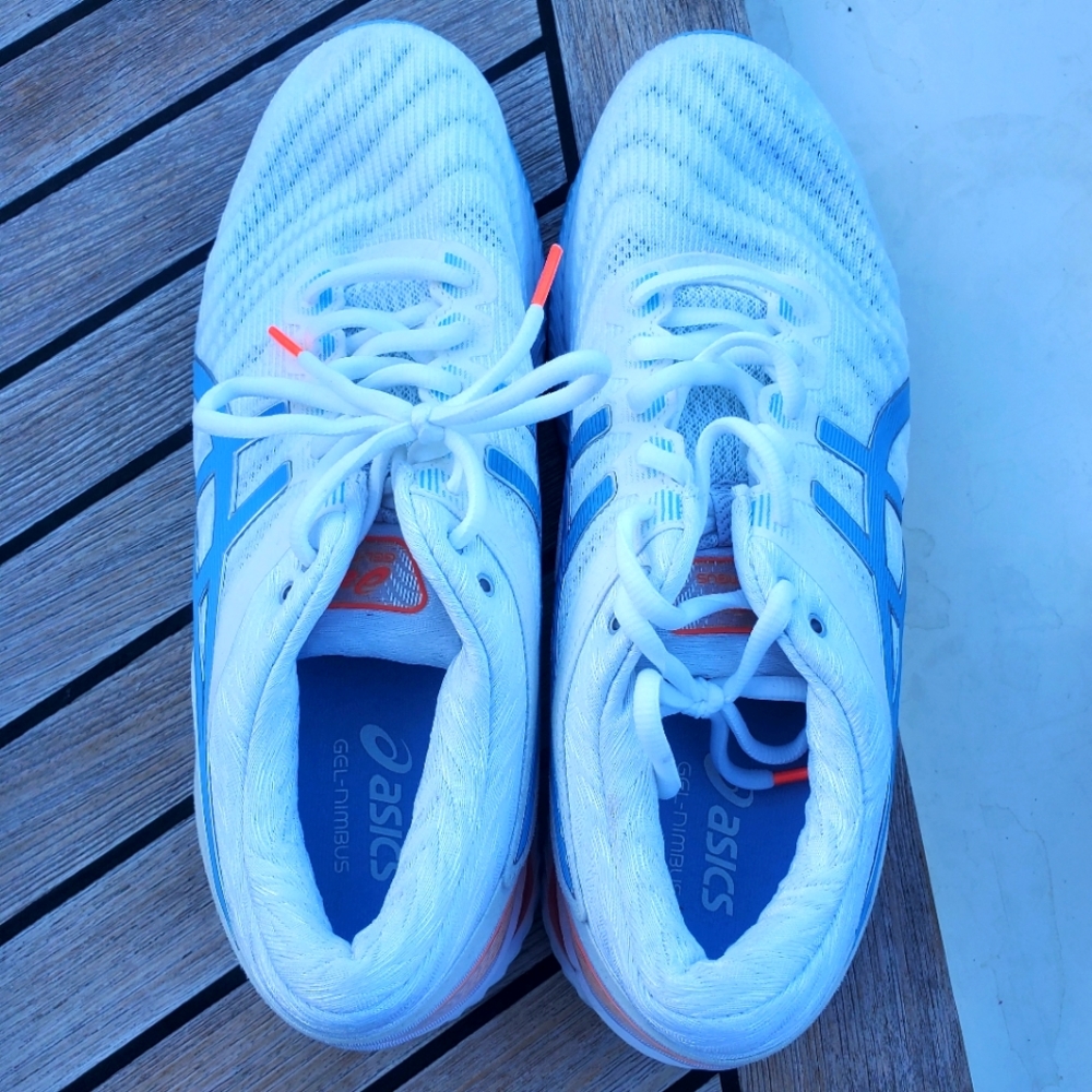 Asics Gel Nimbus 22